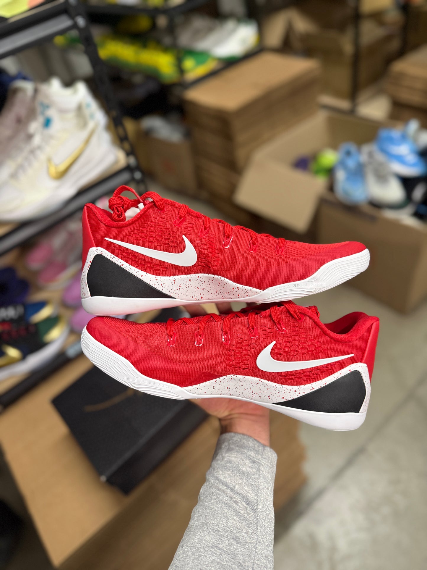 Kobe 9 TB