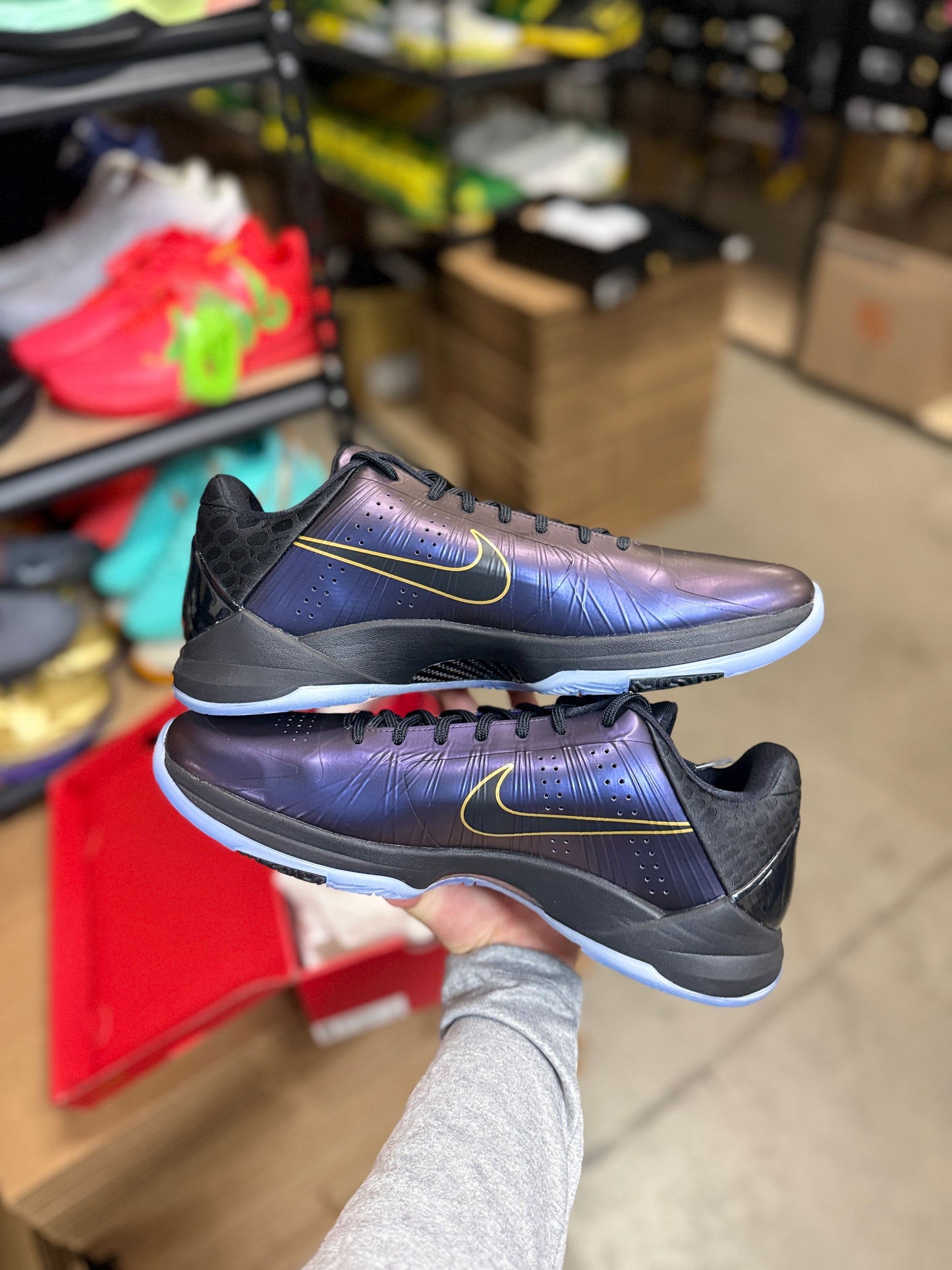 Kobe 5 Yotm (13.5)