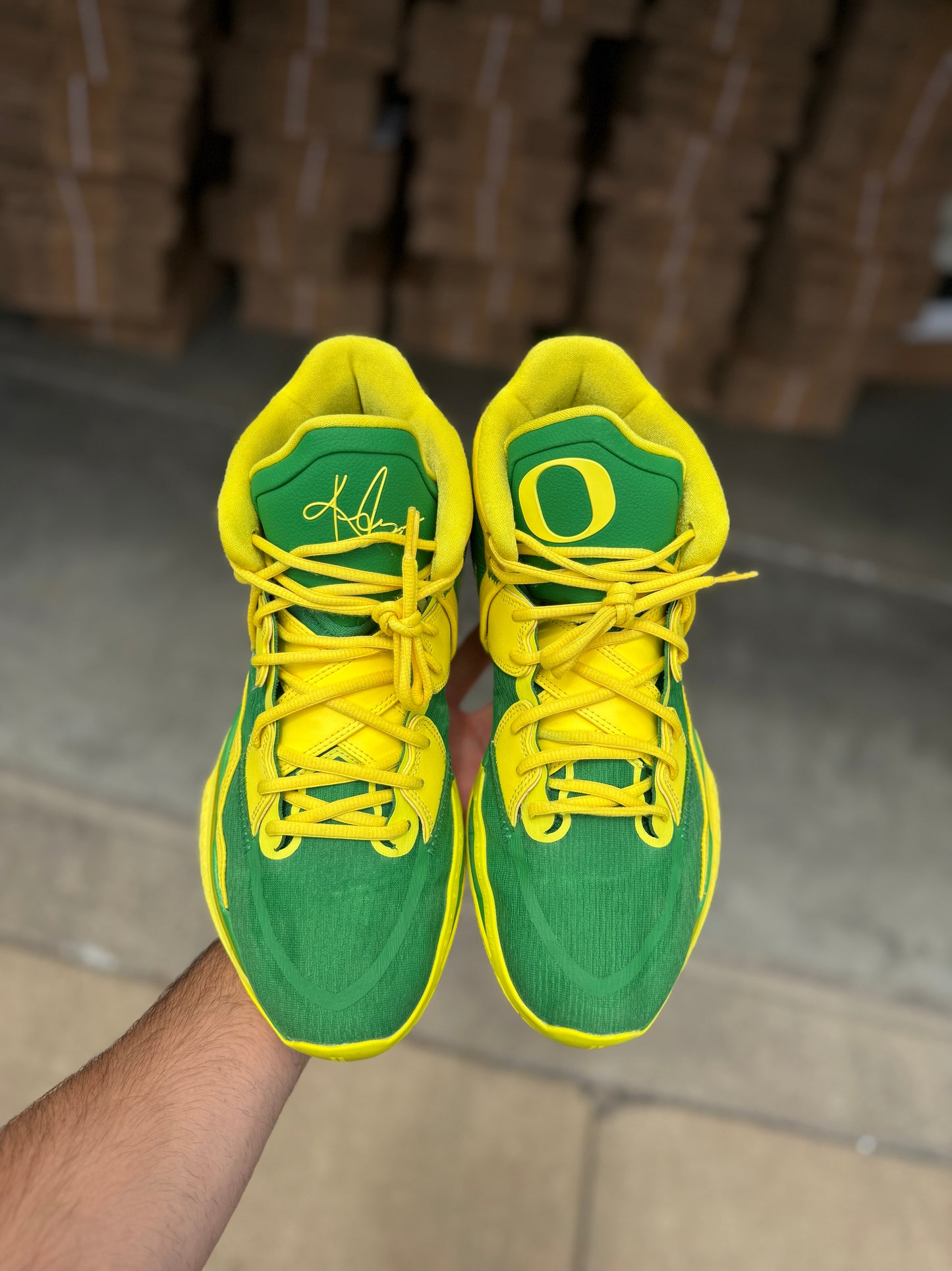 Kyrie Oregon PE (size 13)