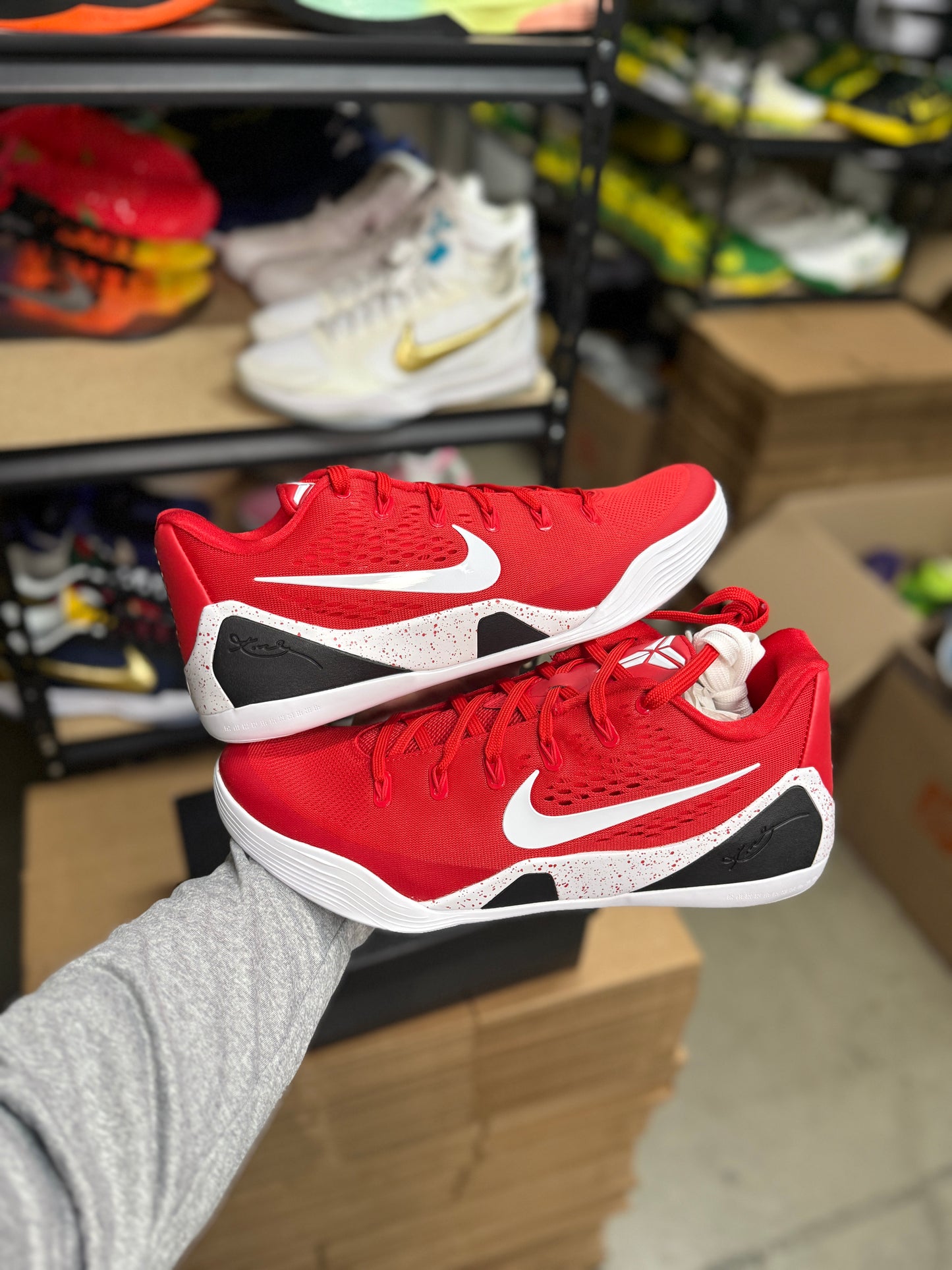 Kobe 9 TB