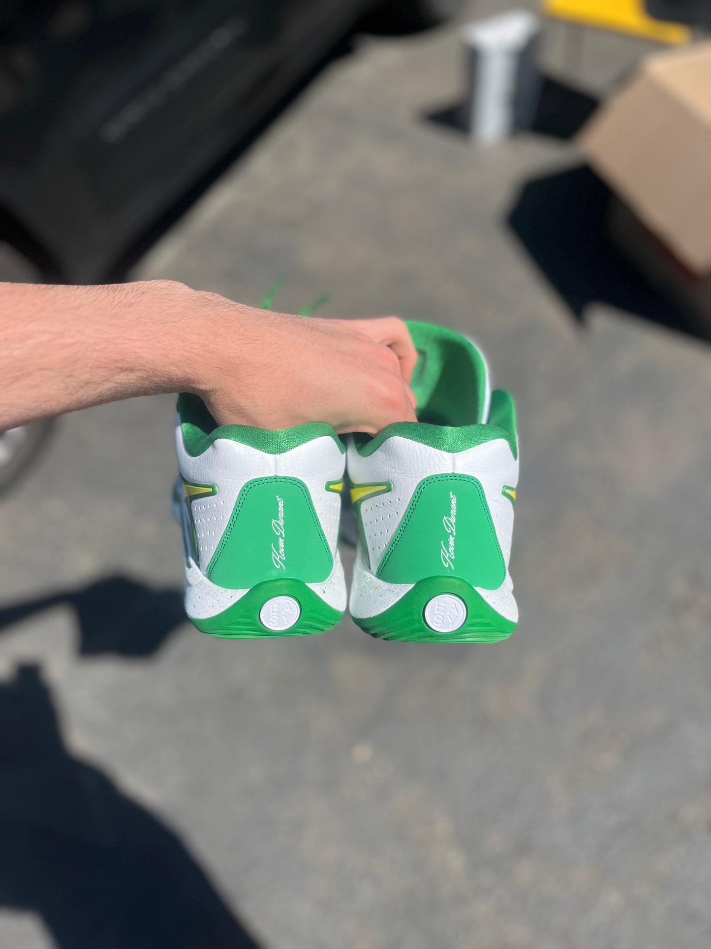 Kd17 Oregon PE (size 15)