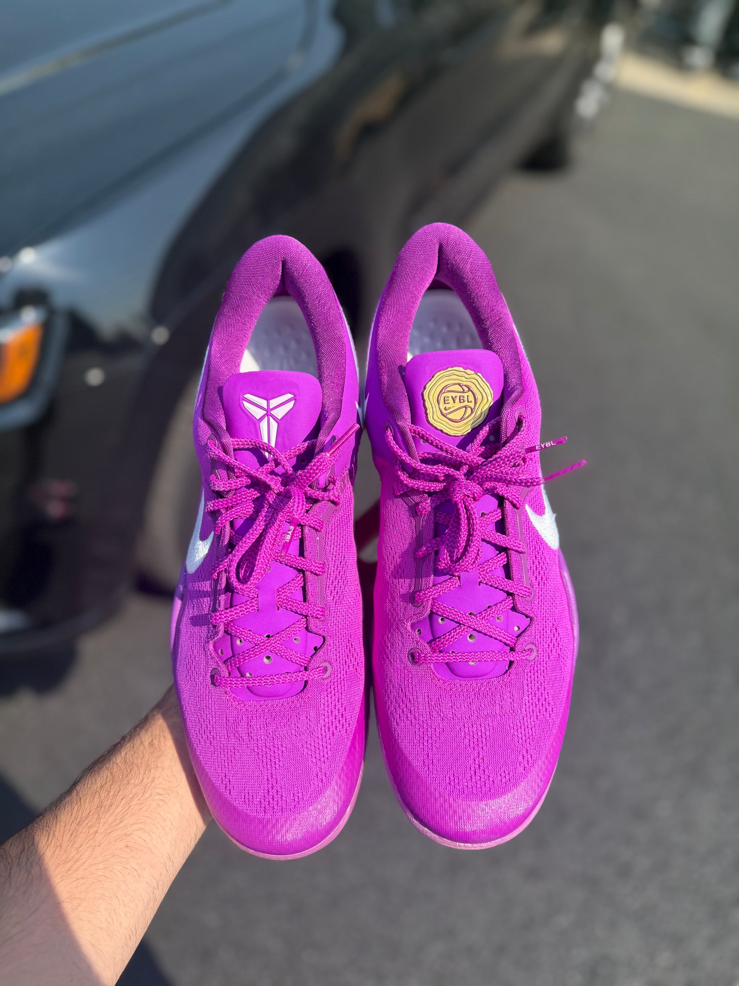 Eybl 8 (size 14)