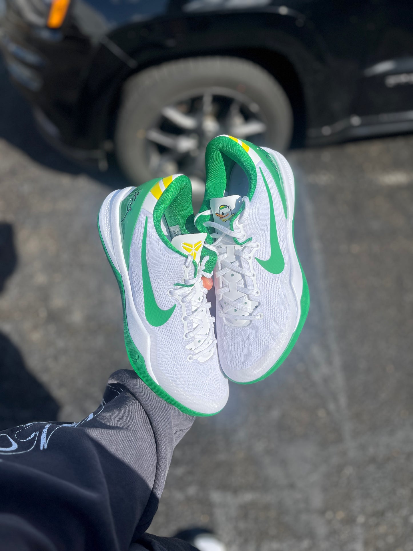 Oregon PE 8 (7.5,9,11.5)