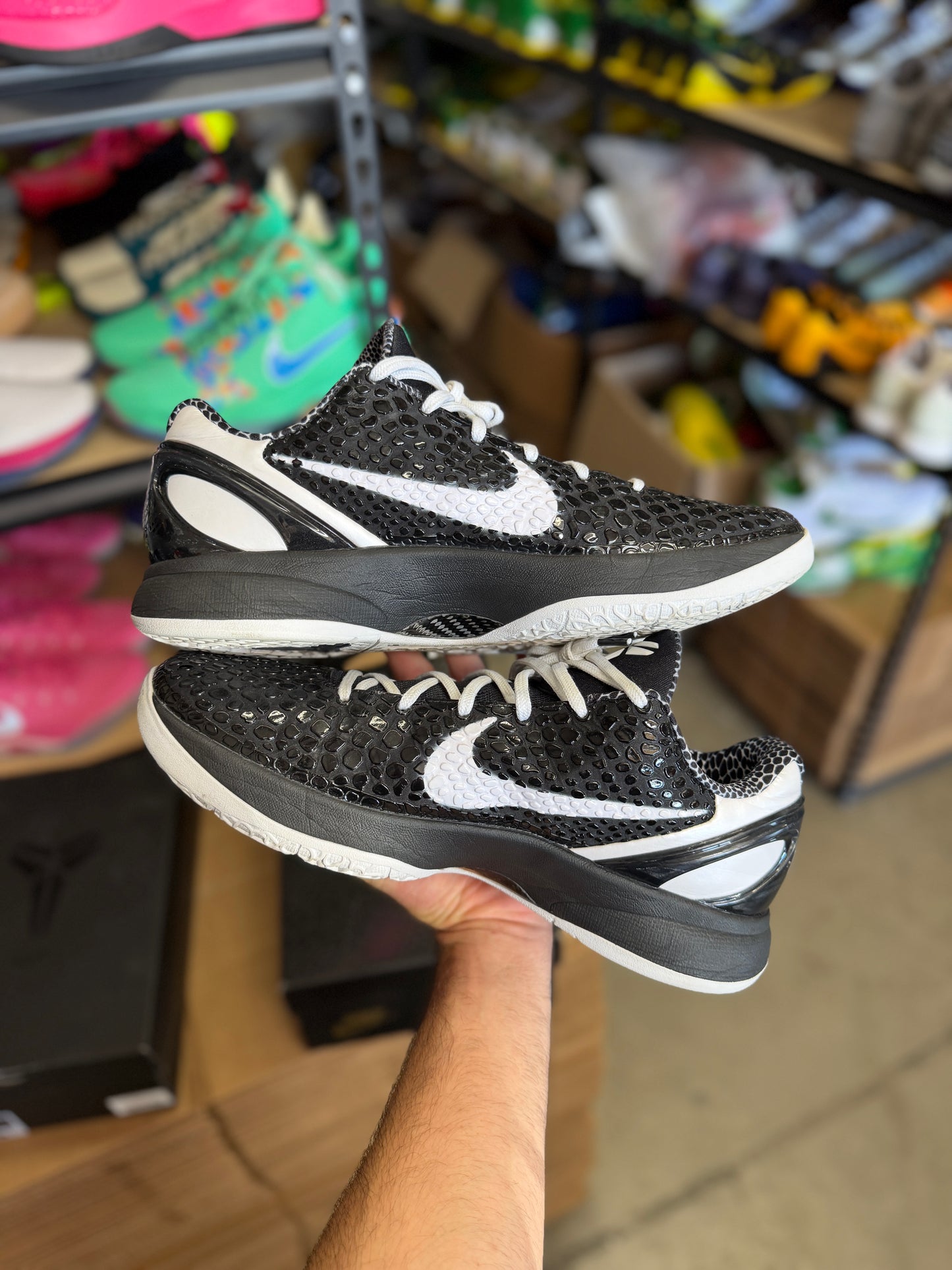 Kobe 6 Mambacita (13)