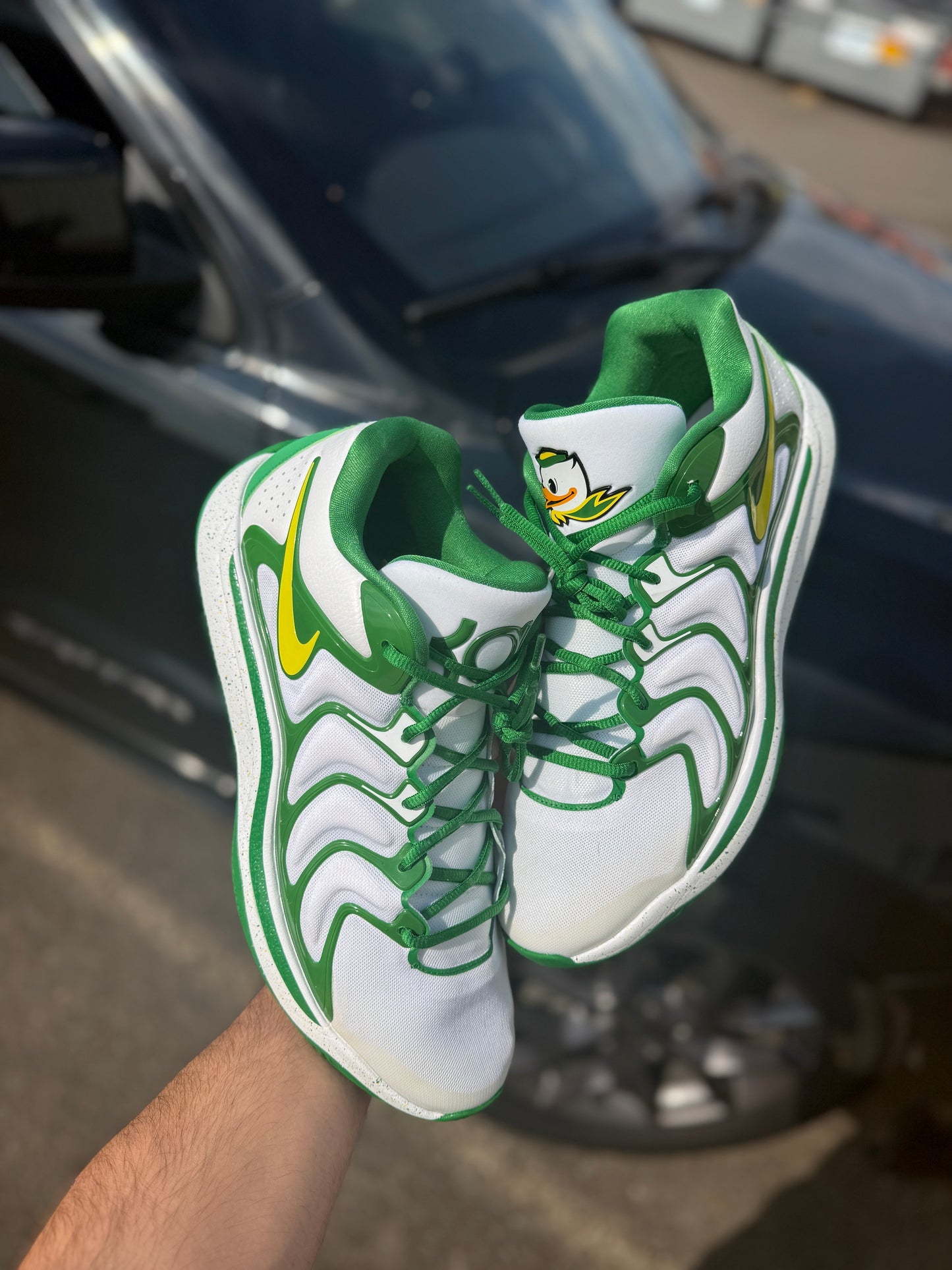Kd17 Oregon PE (size 15)