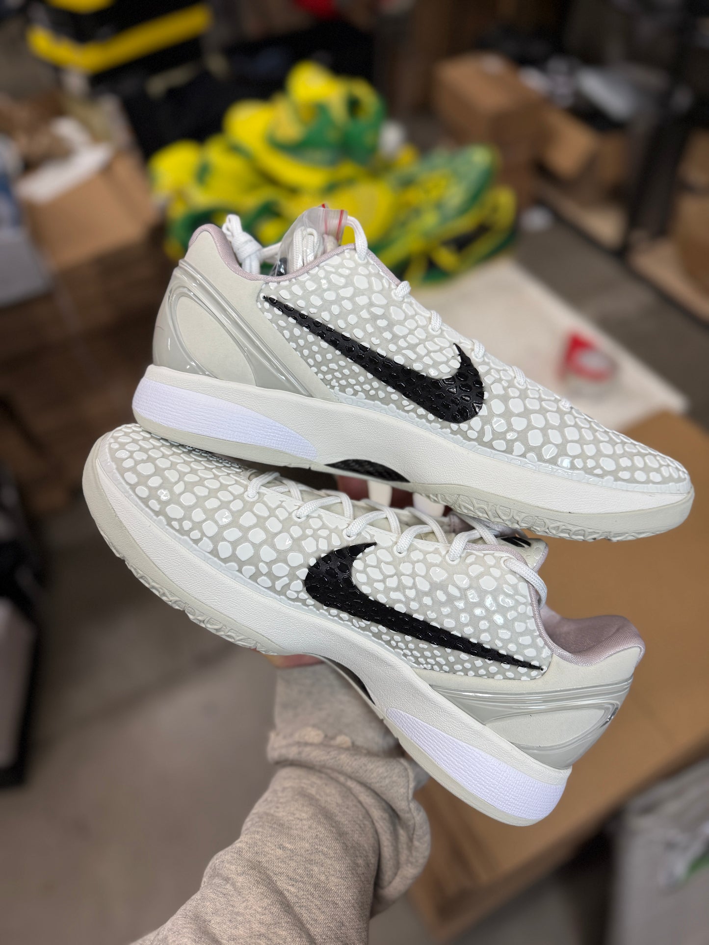 Kobe 6 Allstar (size 13)