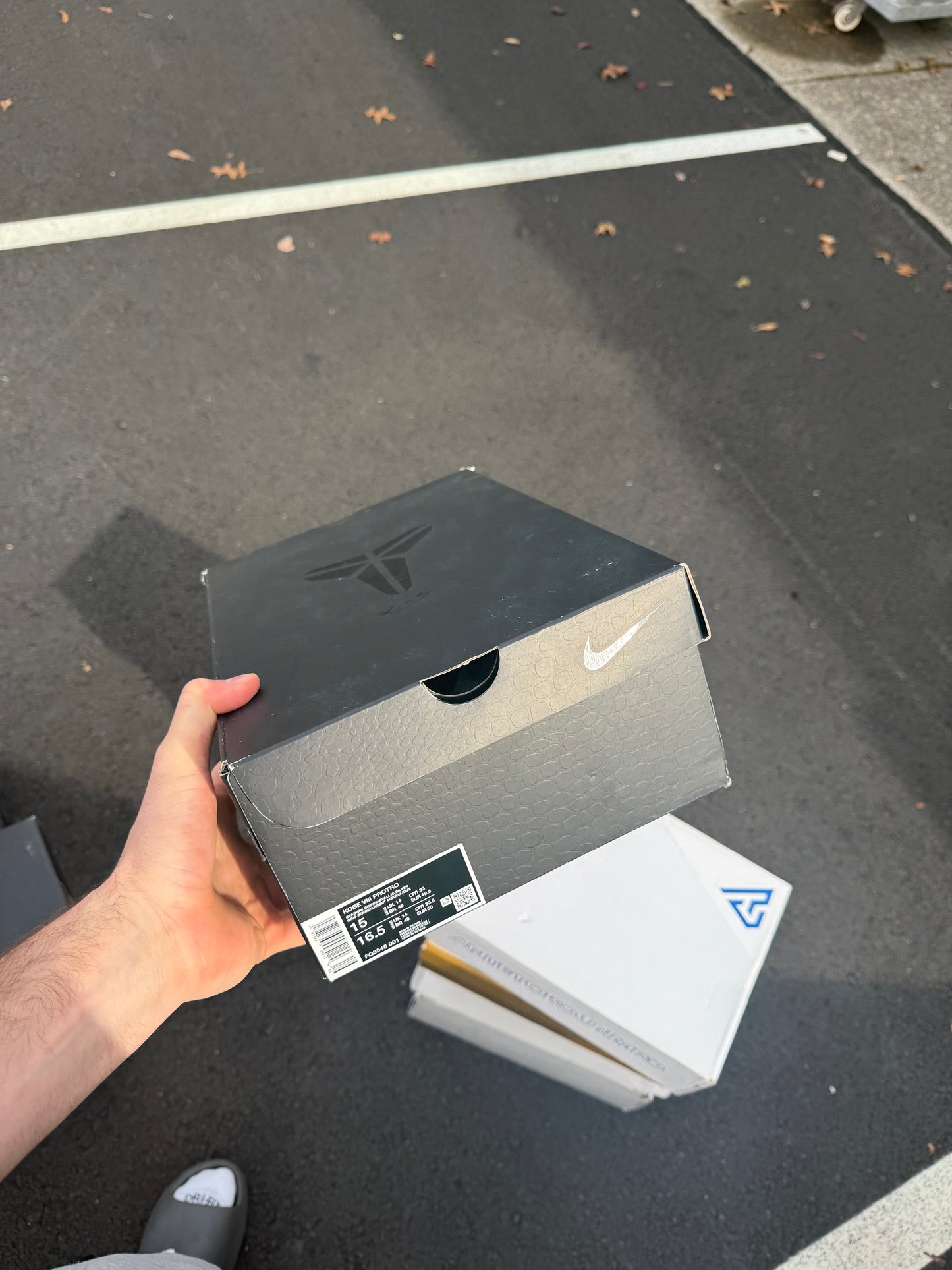 Wolf Grey 8s (size 12)