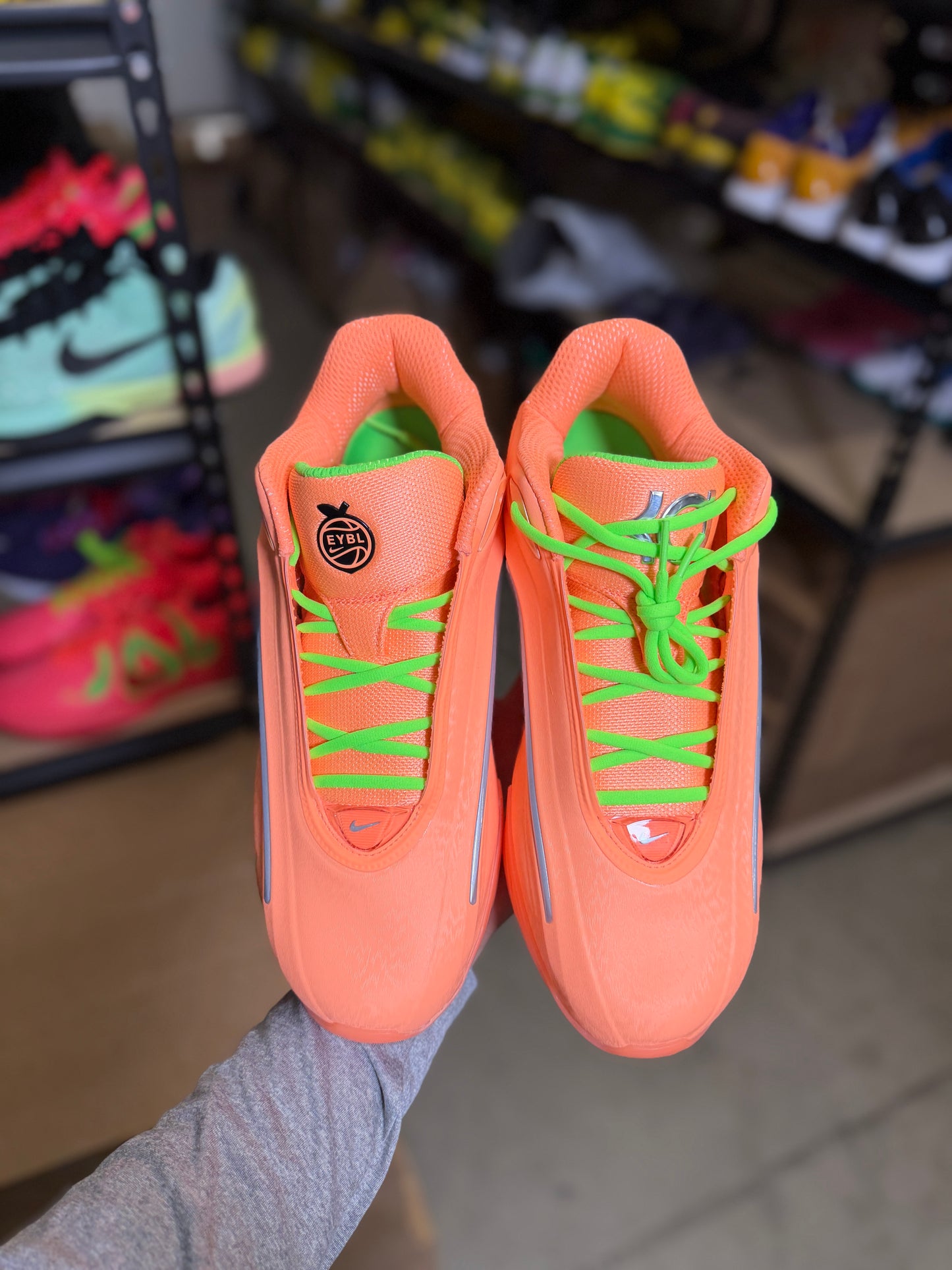 Kd Eybl (12)