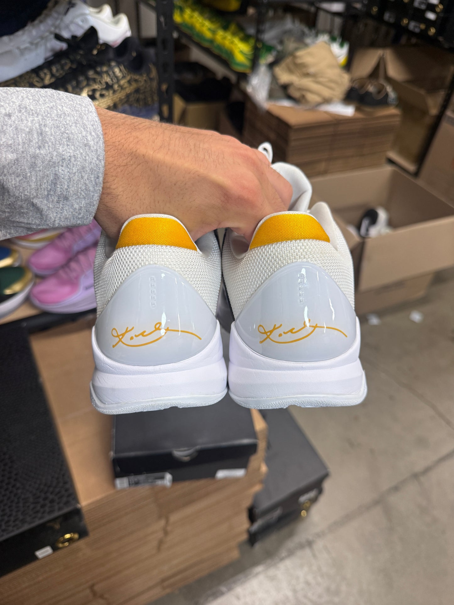Kobe 5 Reverse Bruce Lee (11.5)