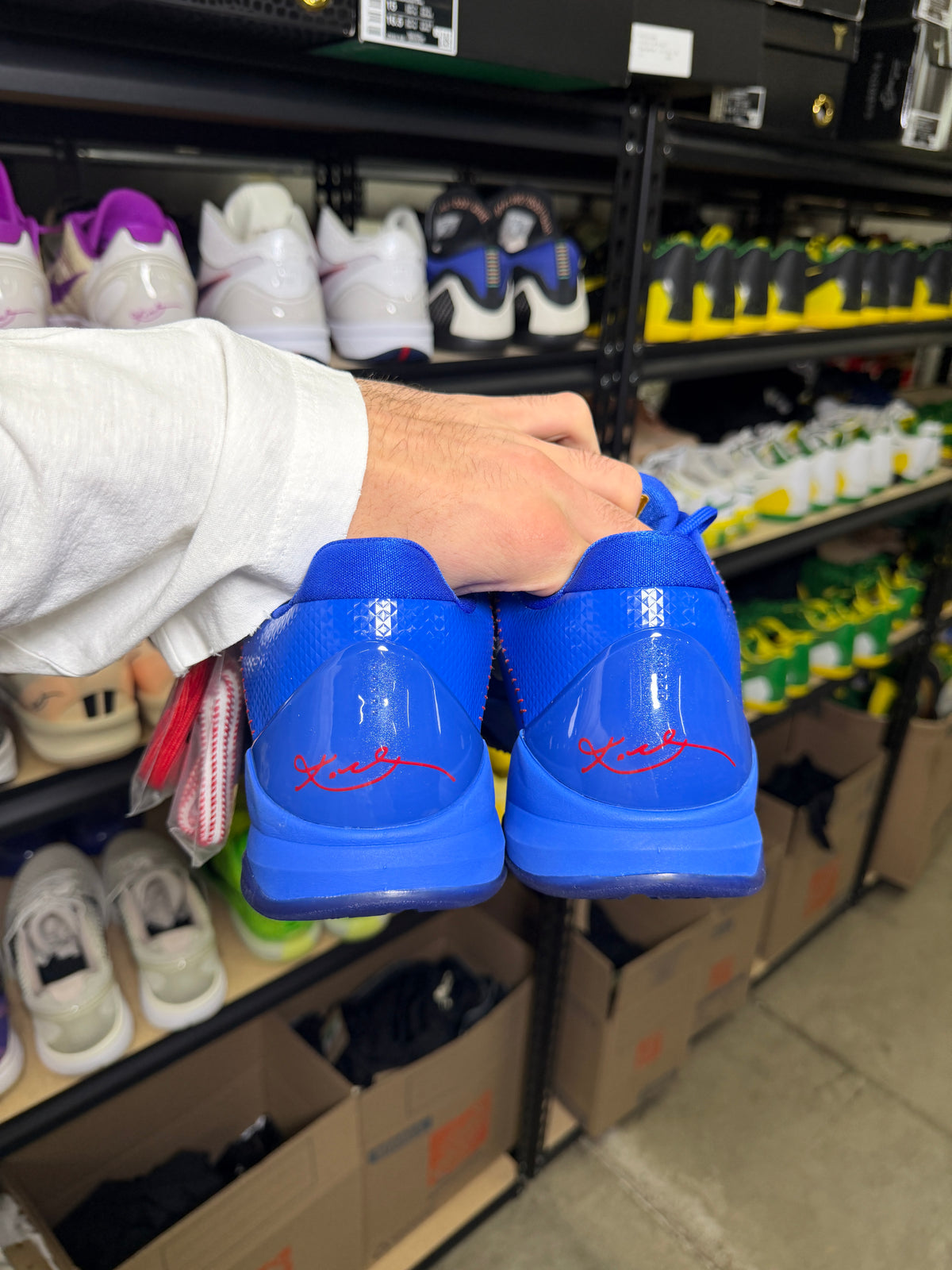 Kobe 5 Dodger (13)
