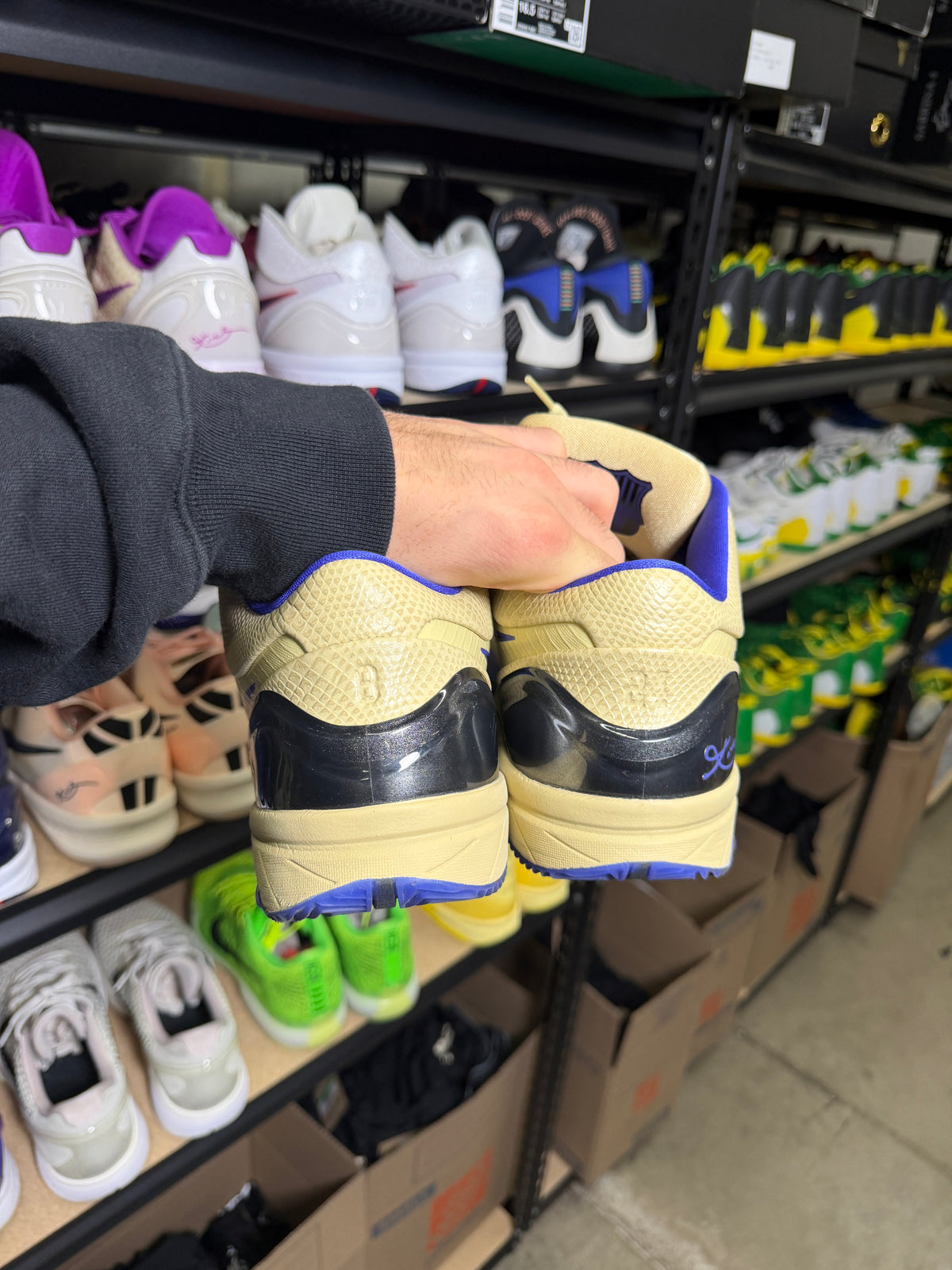 Kobe 4 Barcelona (15)
