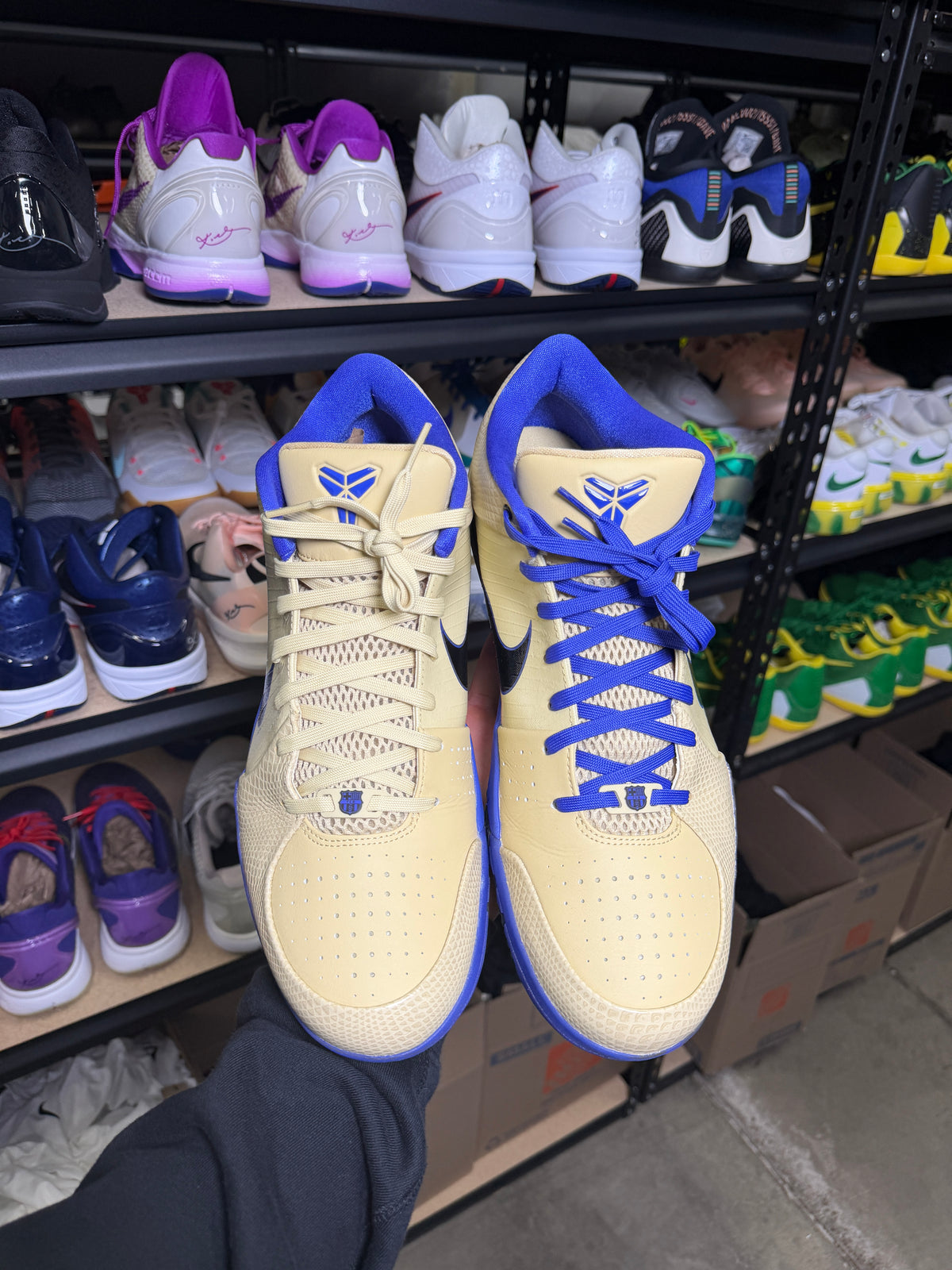 Kobe 4 Barcelona (15)