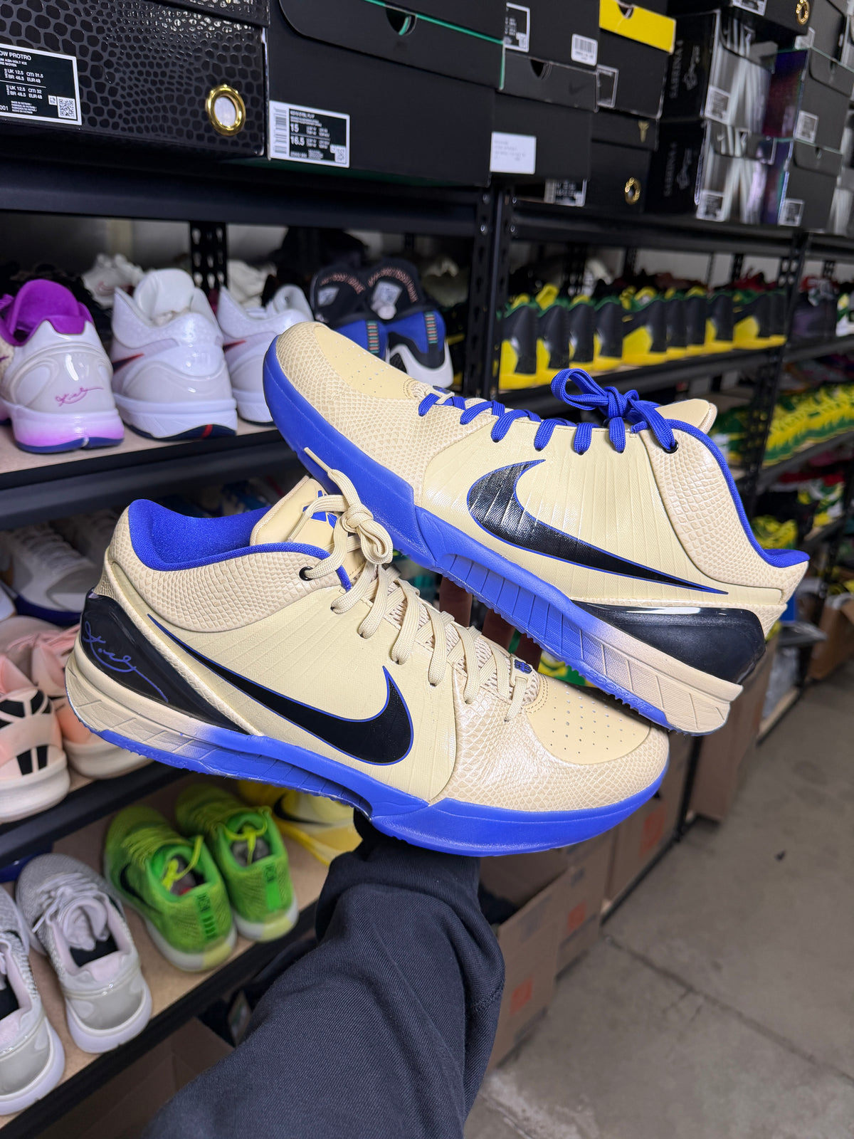 Kobe 4 Barcelona (15)