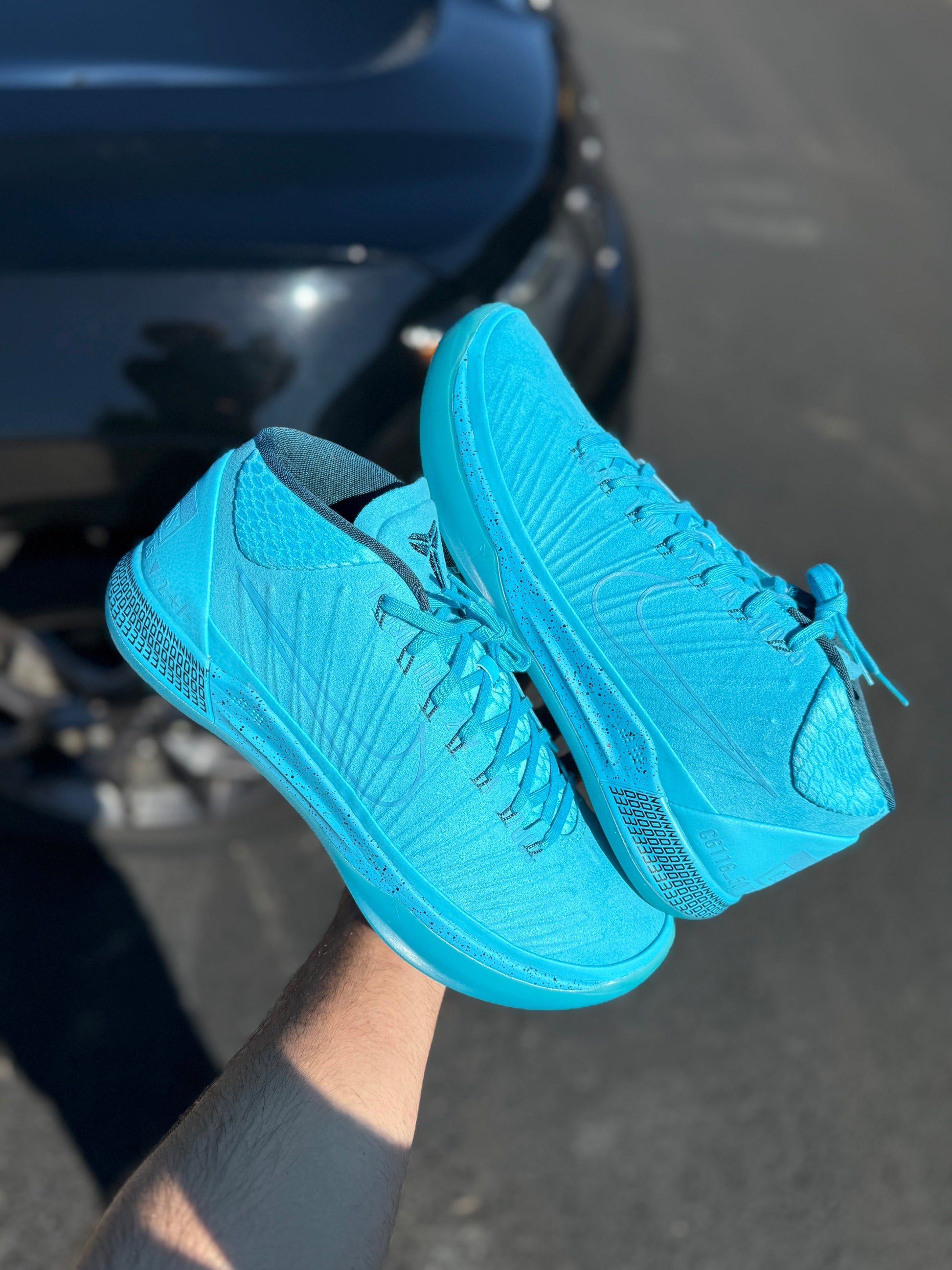 Honesty AD (size 12)