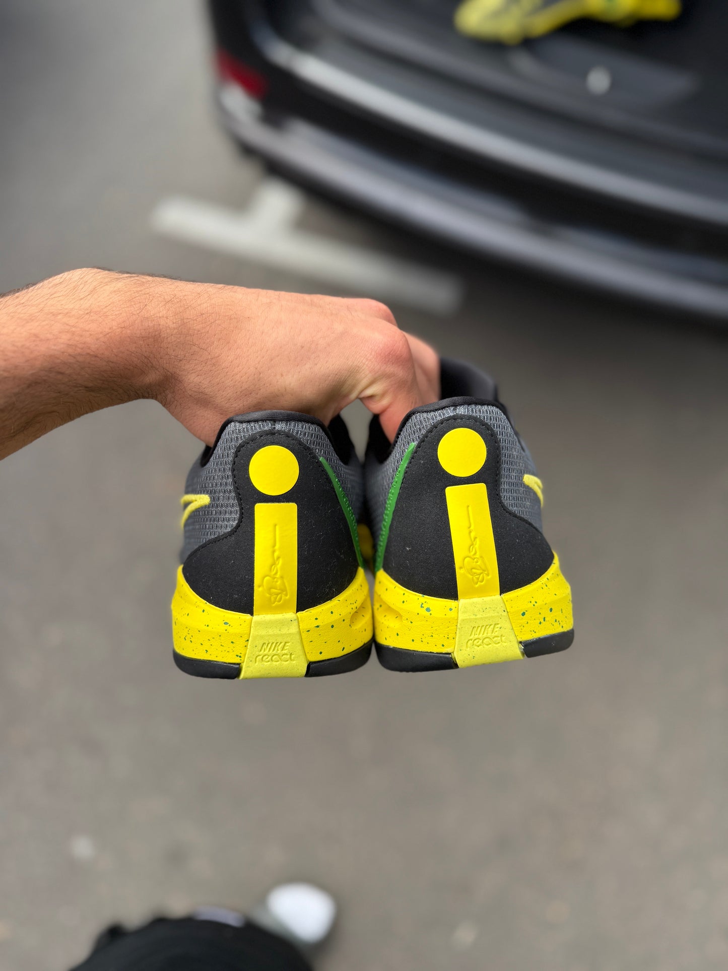 Sabrina 1 Oregon PE (10.5 / 12)