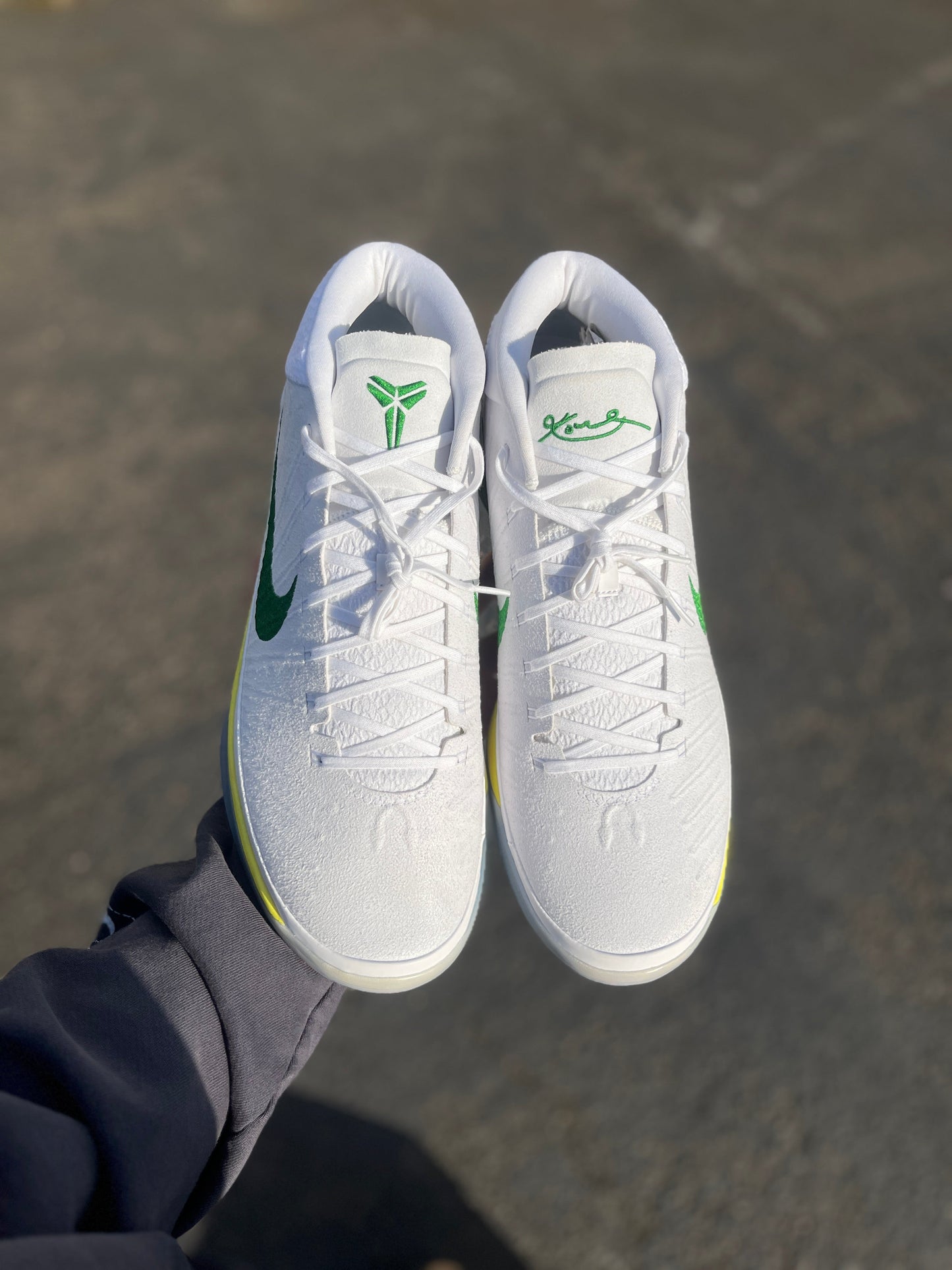 Oregon PE AD (size 17)