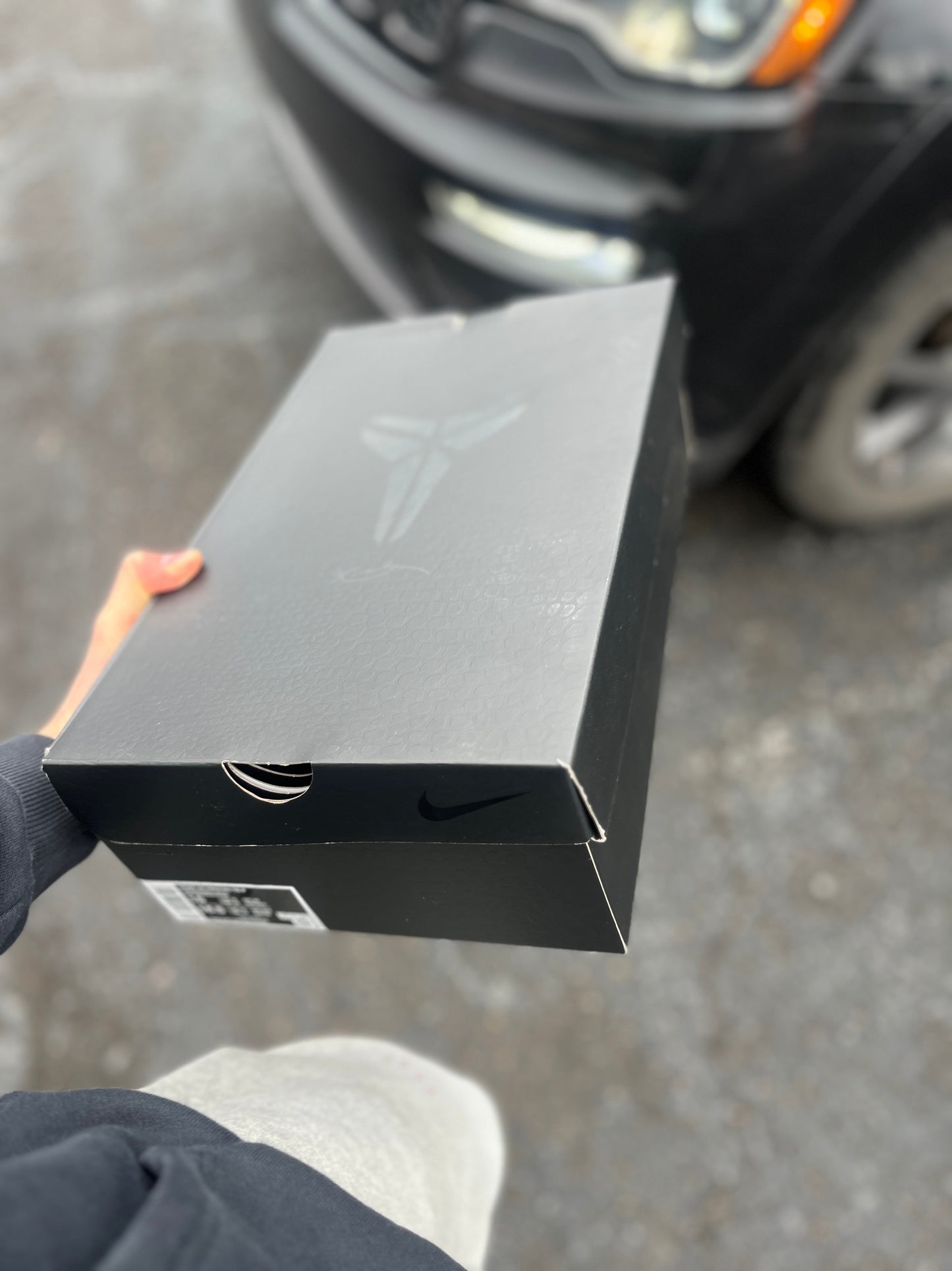 Tb Promo 8 (size 15)