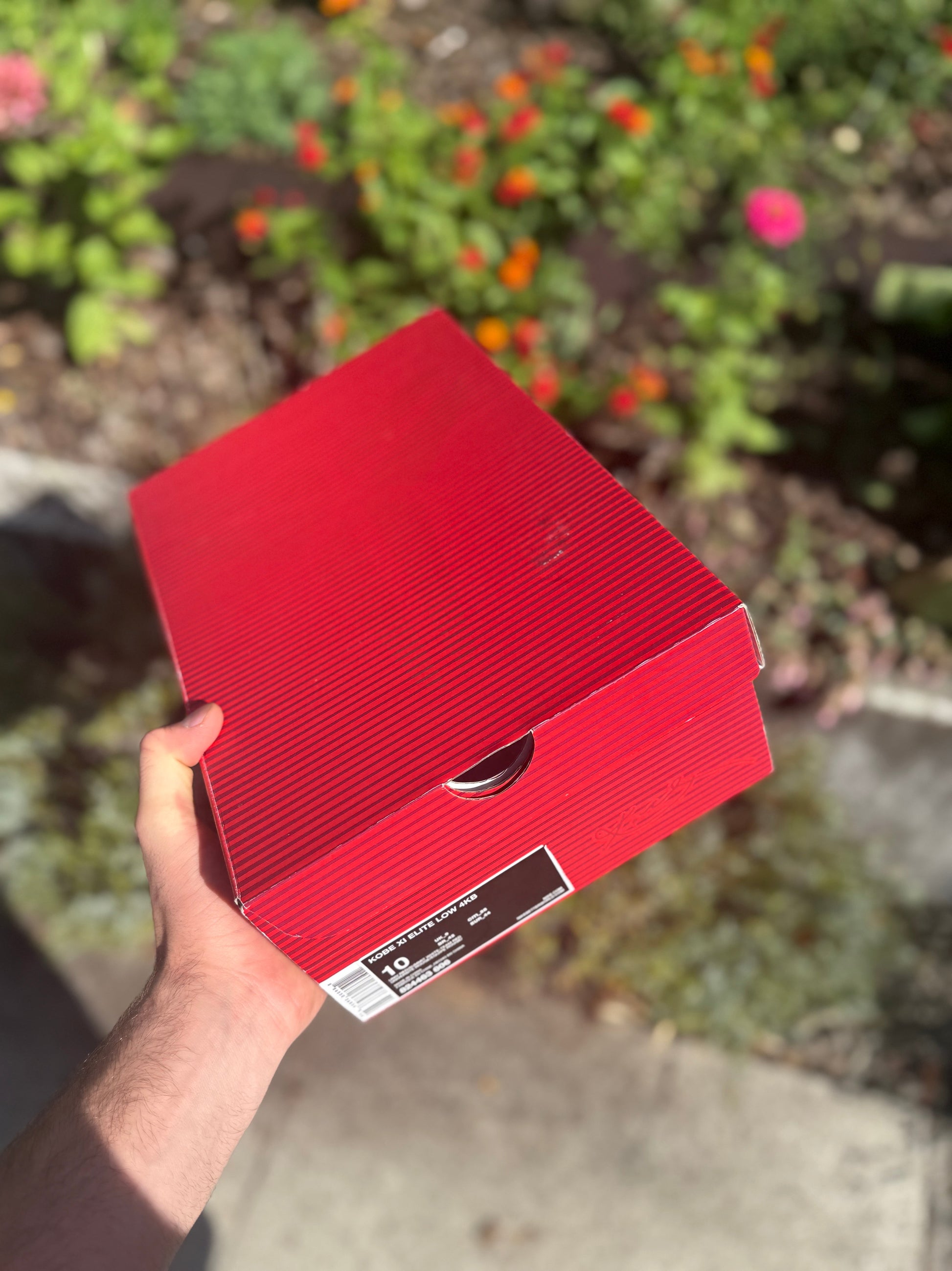 Red horse 11s (size 10)