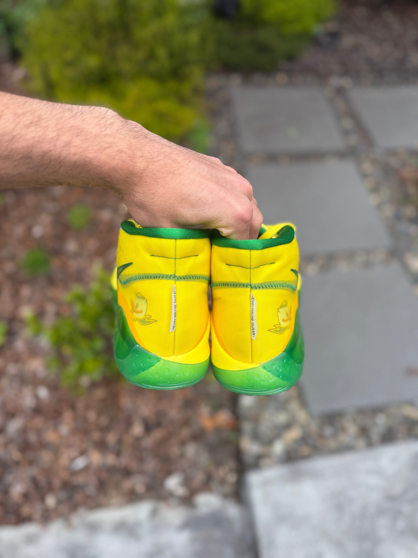 Kd12 Oregon PE (size 14)