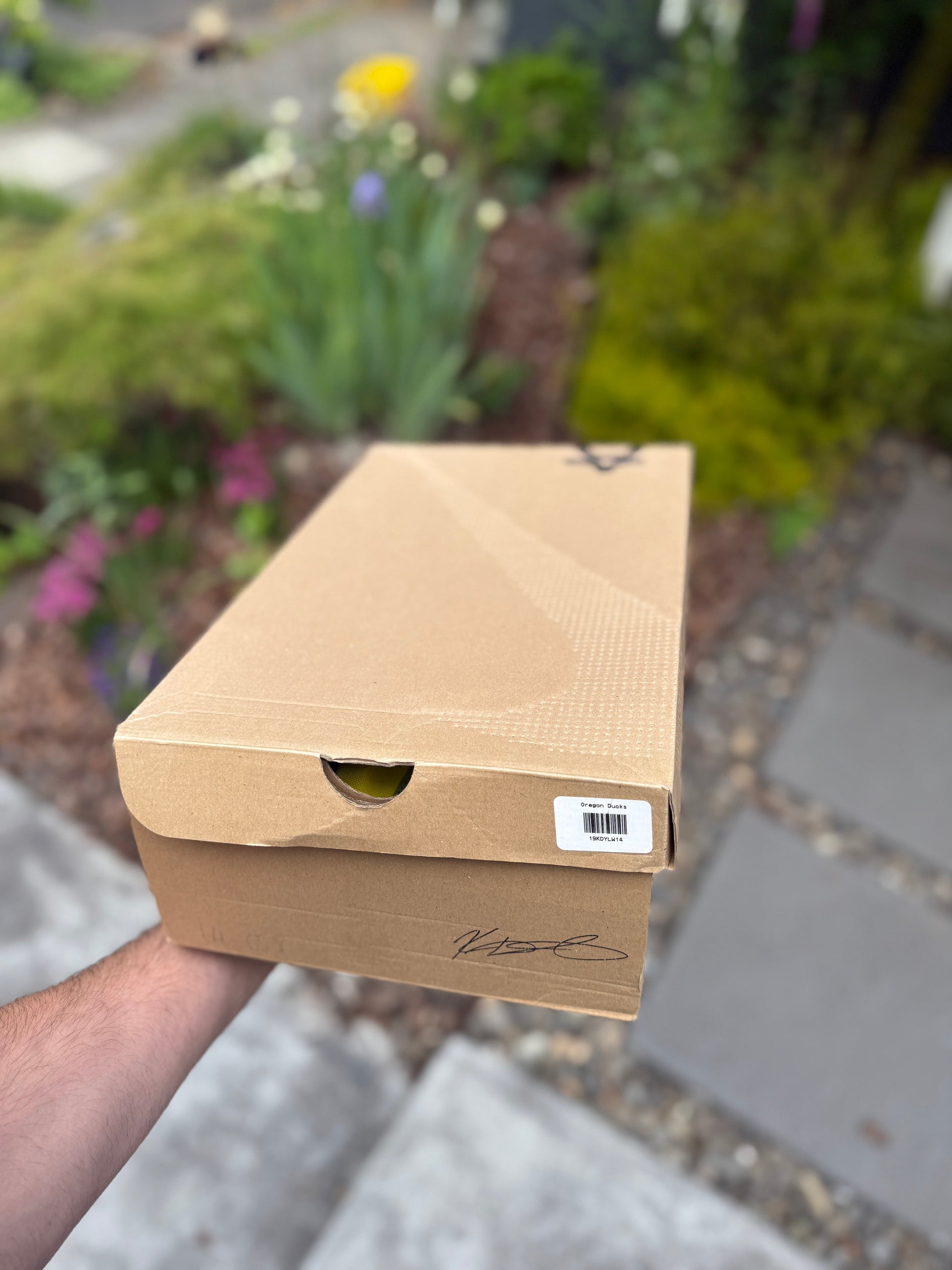 Kd12 Oregon PE (size 14)