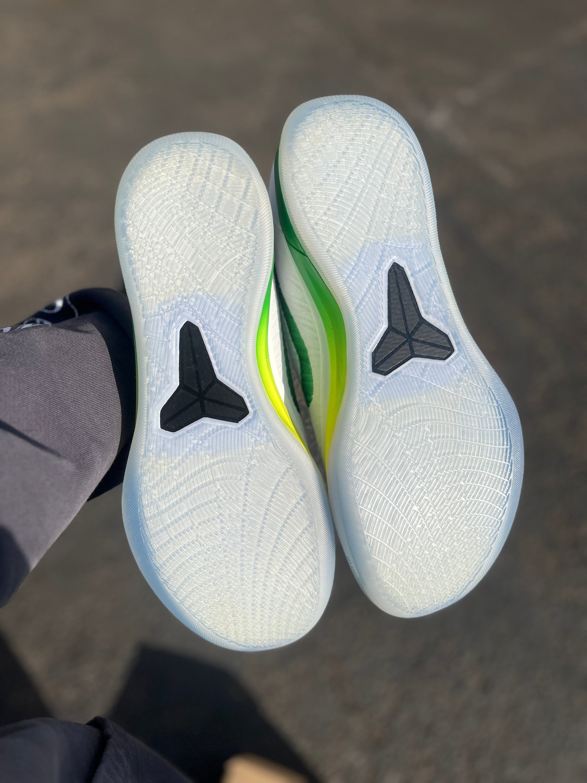 Oregon PE AD (size 17)