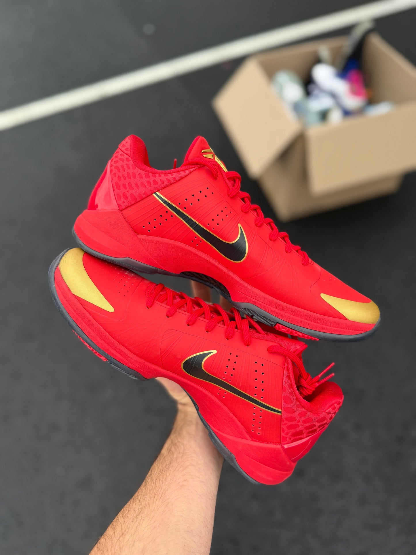 Red Mamba 5s (Size 13)