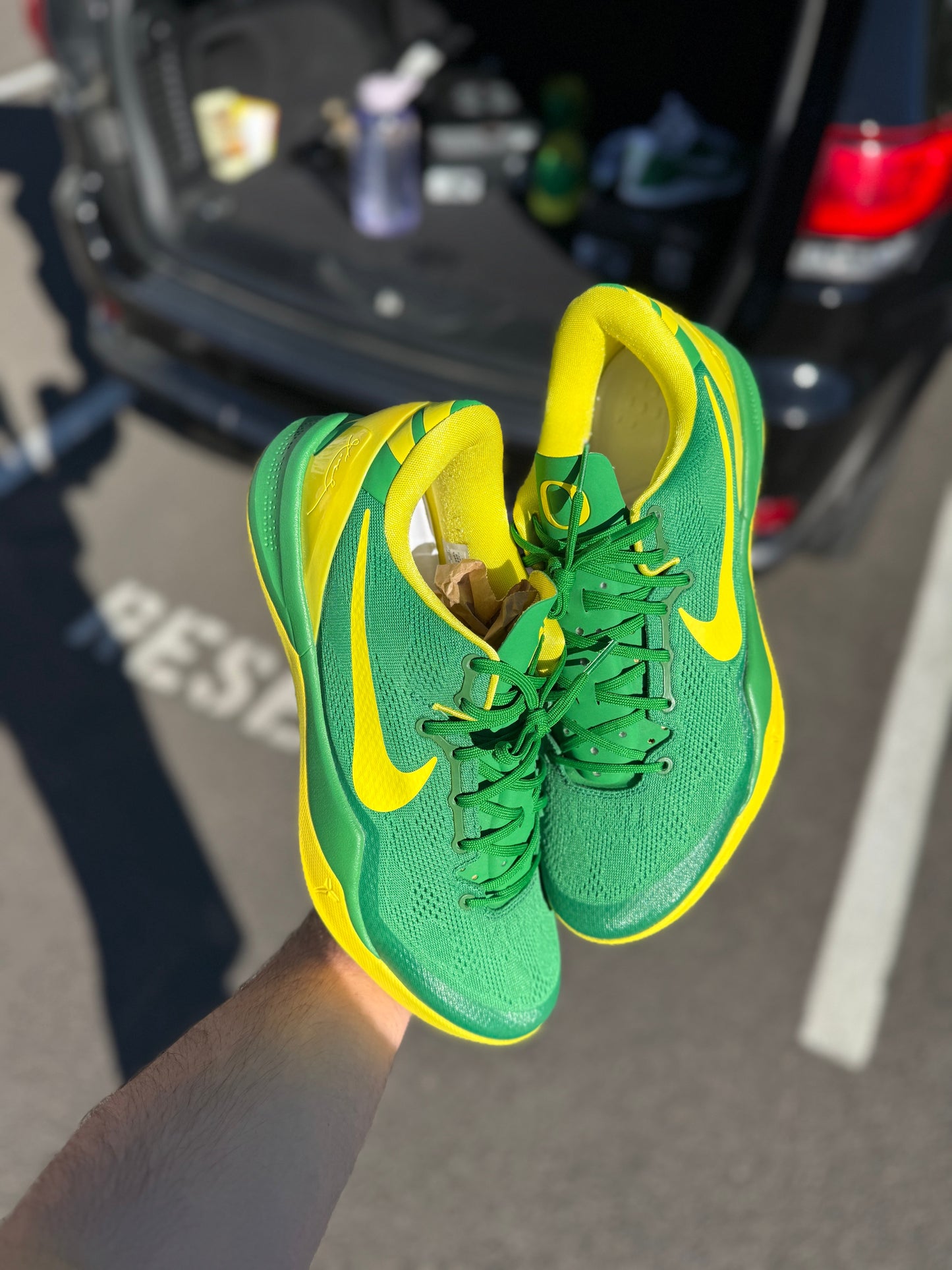 Oregon 8 PE (size 12)