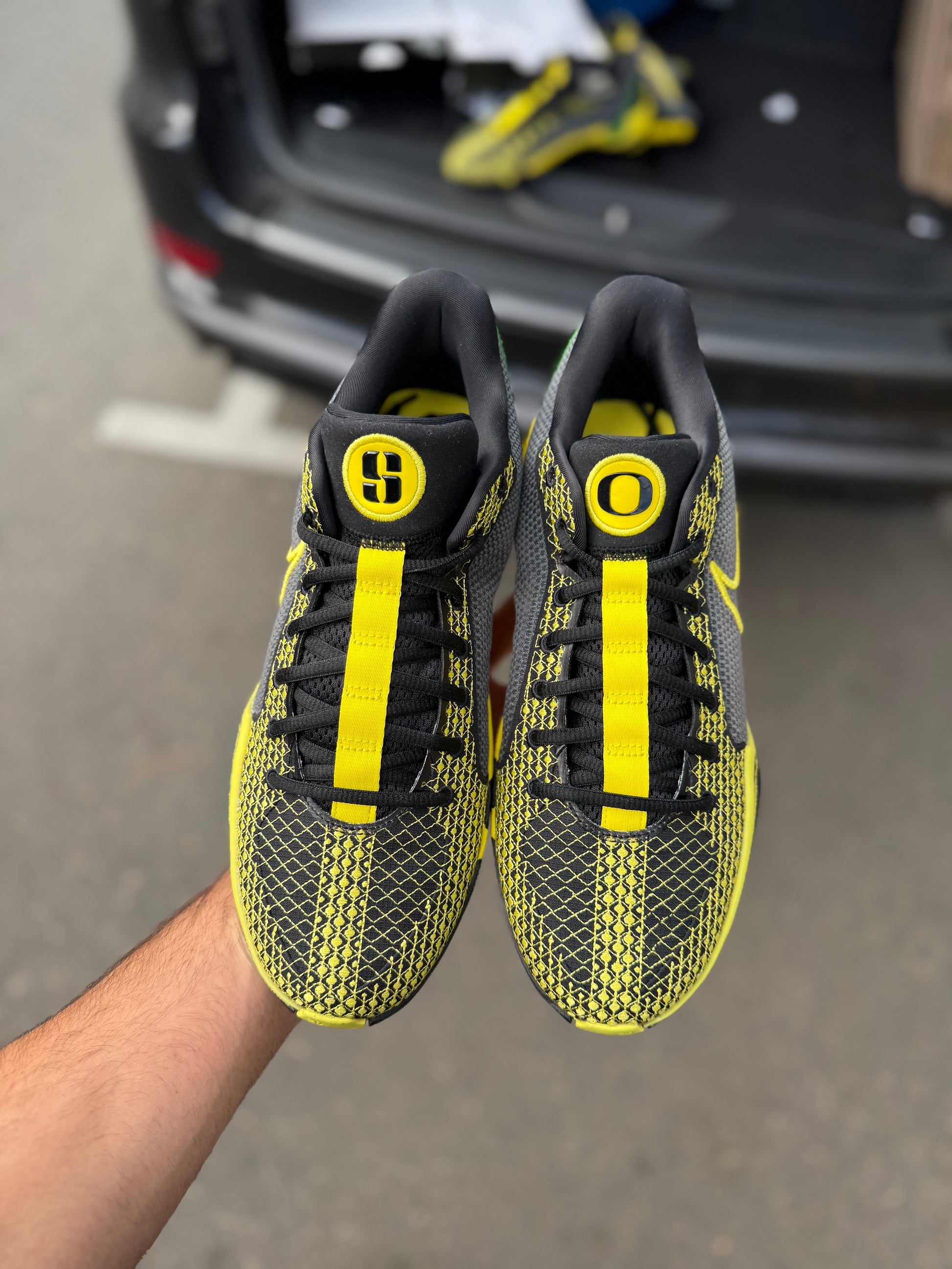 Sabrina 1 Oregon PE (10.5 / 12)