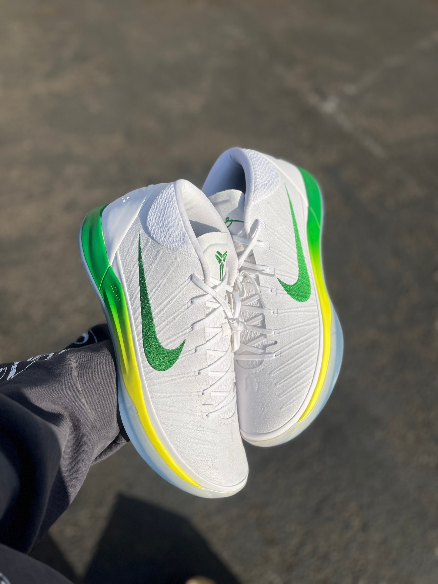 Oregon PE AD (size 17)