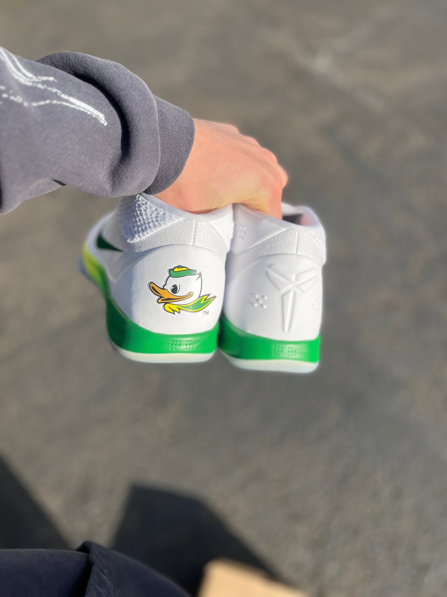 Oregon PE AD (size 17)