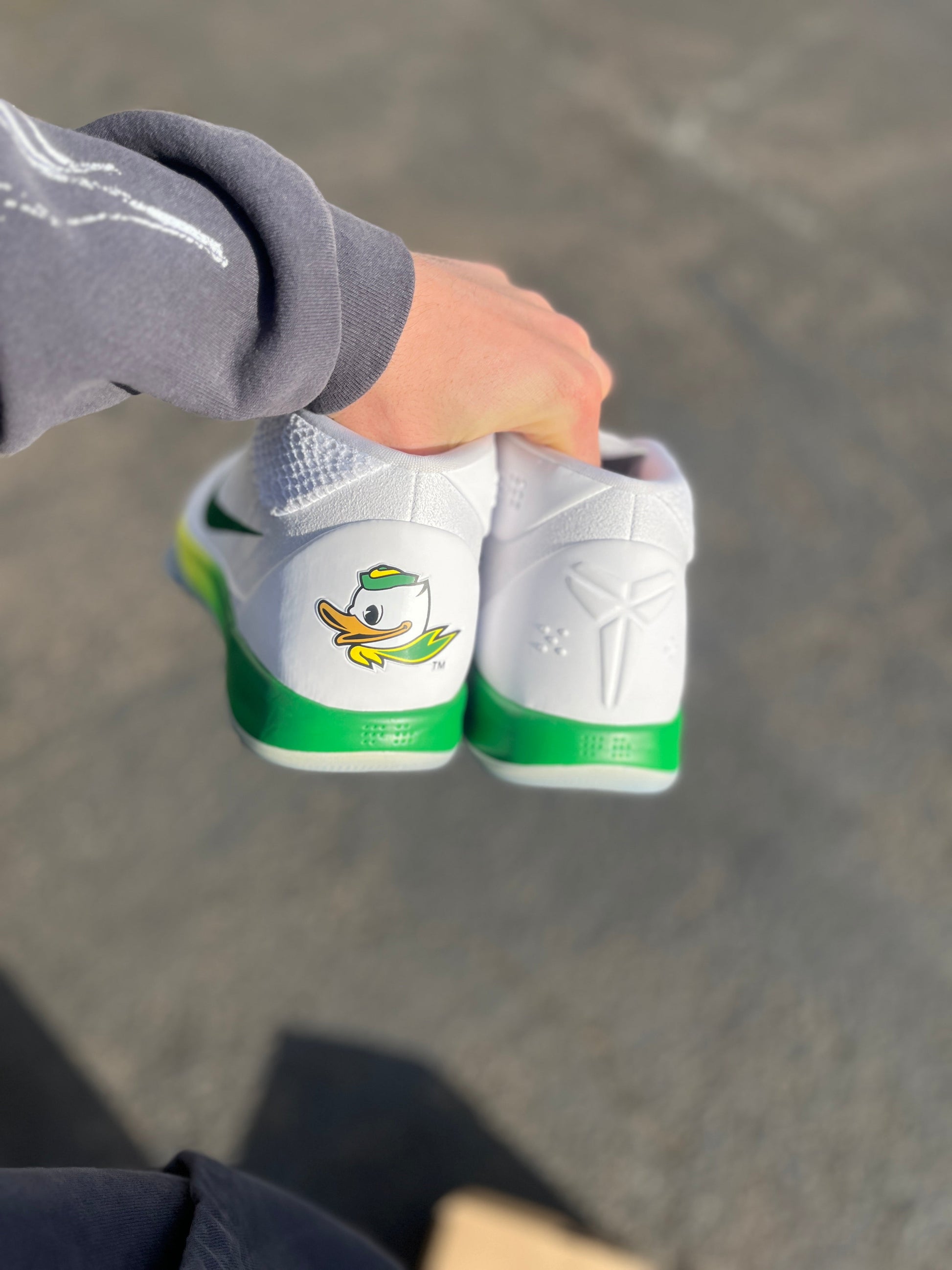 Oregon PE AD (size 17)