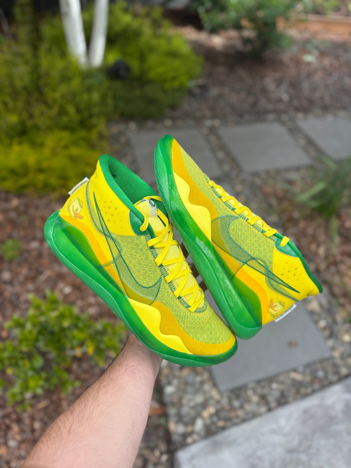 Kd12 Oregon PE (size 14)