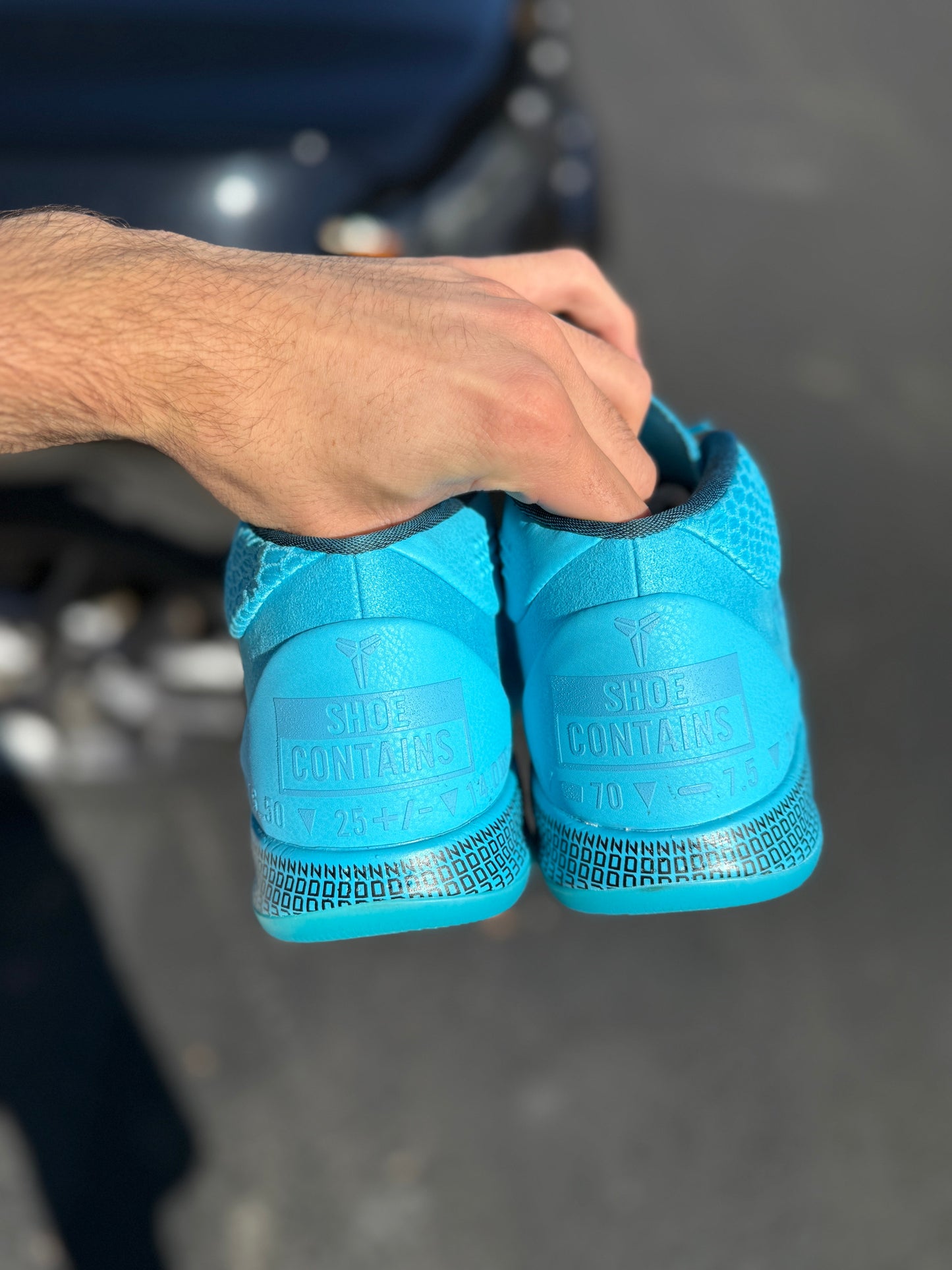 Honesty AD (size 12)