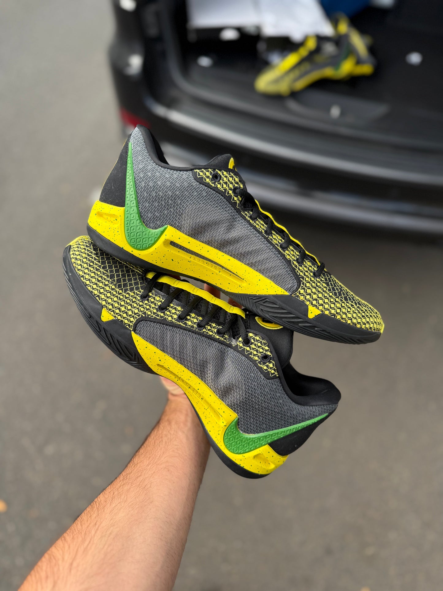 Sabrina 1 Oregon PE (10.5 / 12)