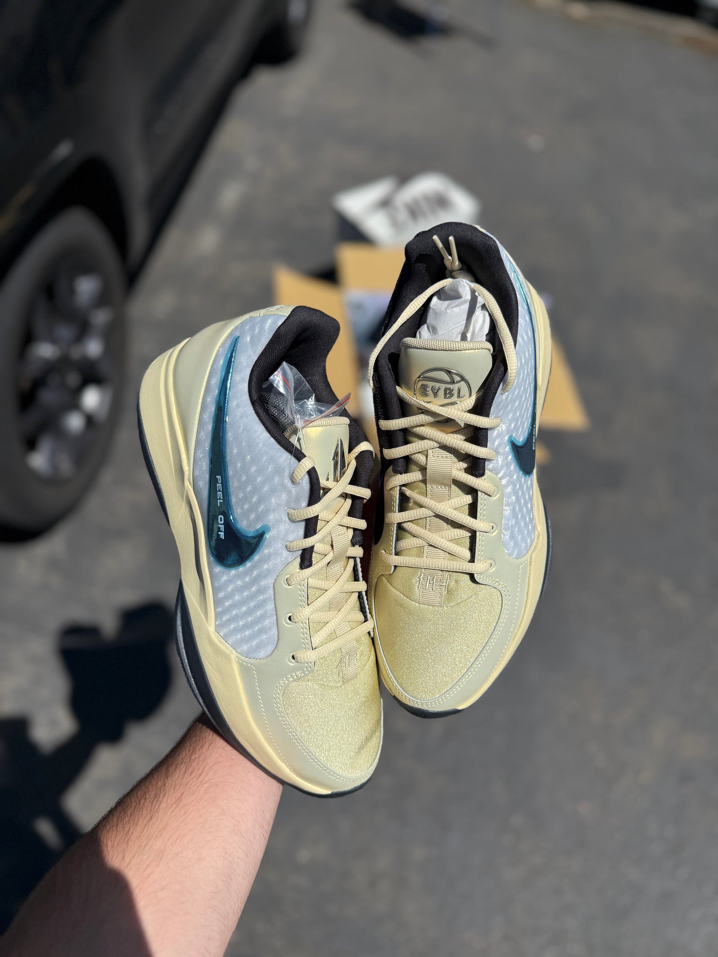 Eybl ja 2 (11 / 11.5 / 13 / 13.5 / 16)