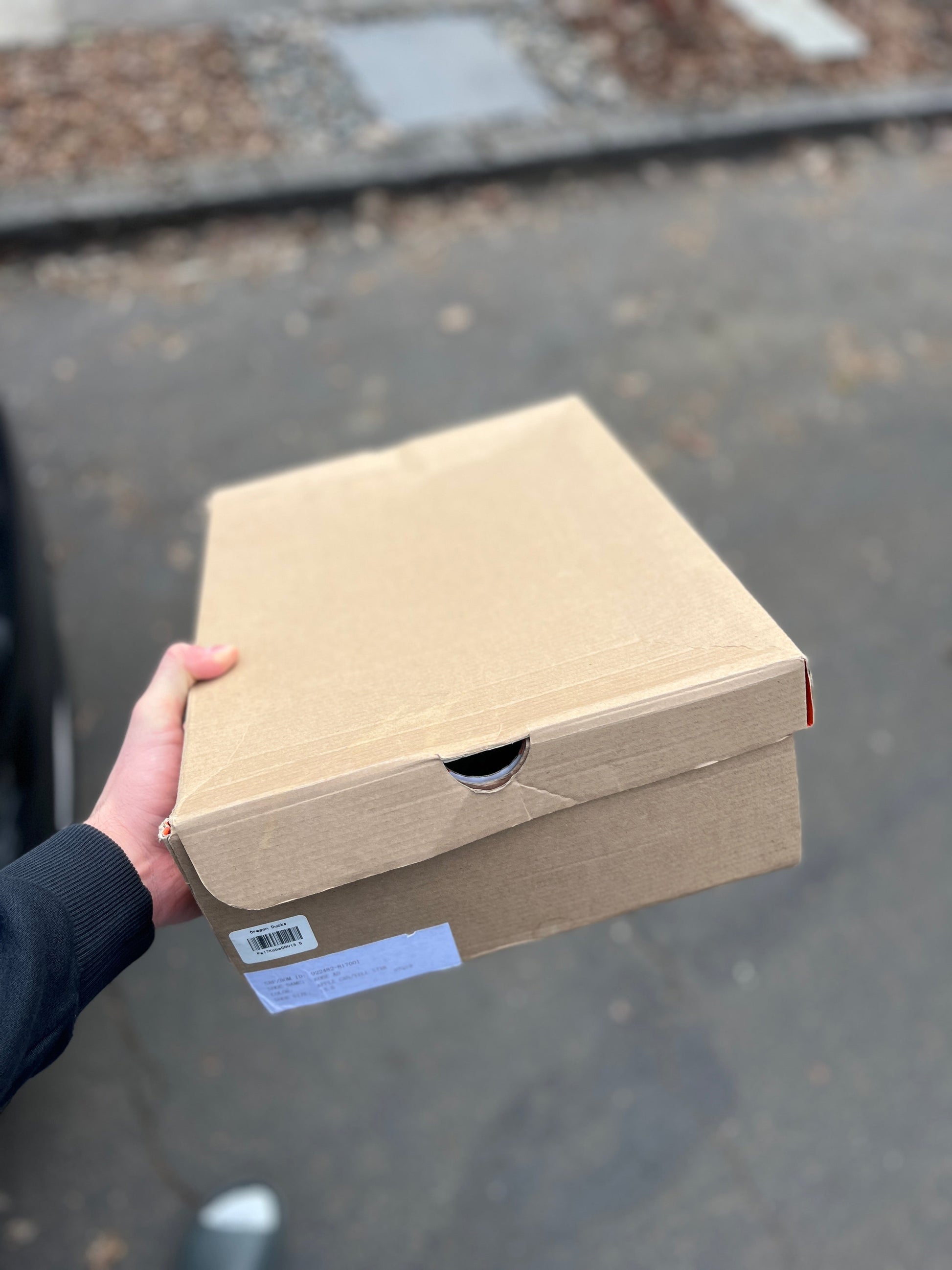 AD Oregon PE (size 13.5)